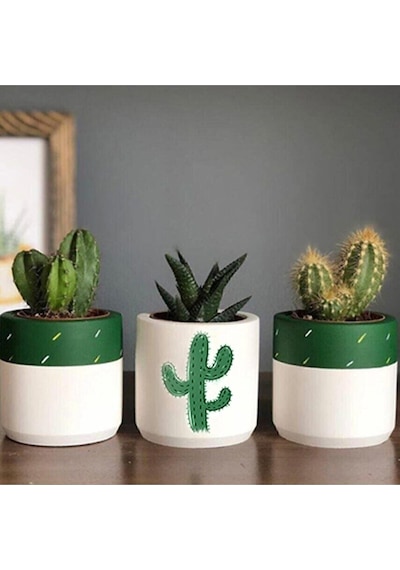 Kaktüs Desenli Saksı 3'lü Set Bitkisiz