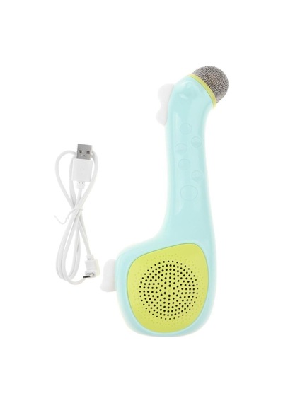 Bluetooth Karaoke Mikrofon