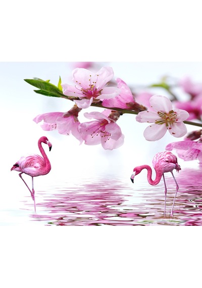 Pembe Çiçekler Ve Flamingolar