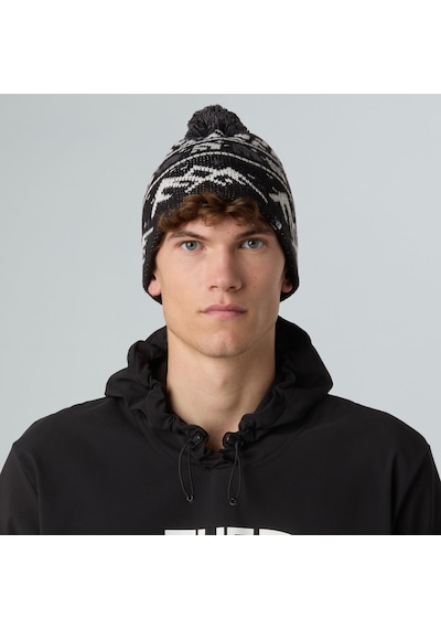 The North Face Cabın Skı Tuke Bere Nf0a8ch0hnf1 Siyah