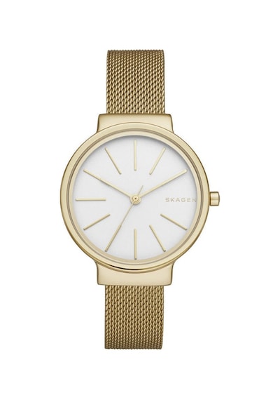 Skagen SKW2477 Kadın Kol Saati