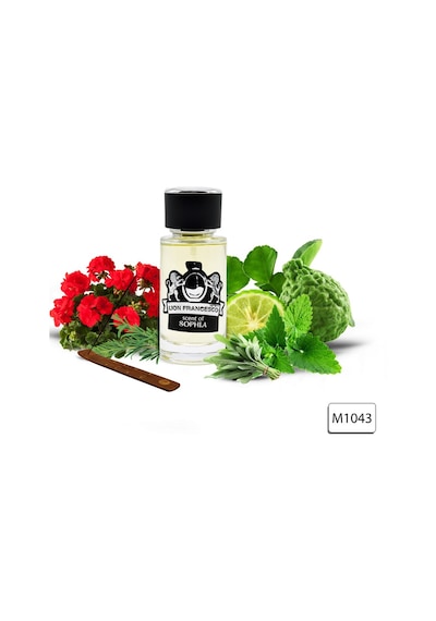 Lion Francesco Scent Of Sophia Erkek Parfüm EDP 50 ML