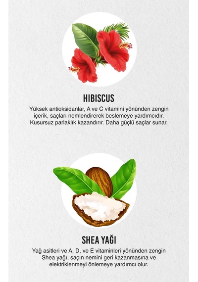 Twisted Curls Hibiscus & Shea Butter Durulanmayan Bakım Kremi 175 Ml