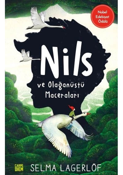 Nils Ve Olağanüstü Maceraları