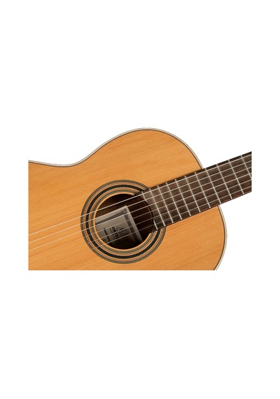Ortega R20gwn Traditional Series Klasik Gitar Natural