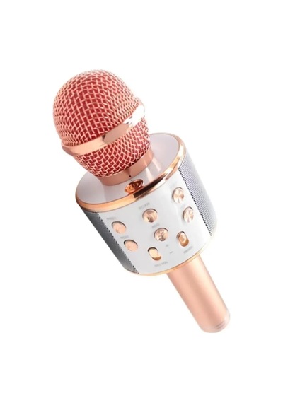 Karaoke Mikrofon Ws-858 And01096