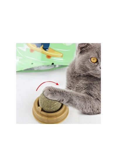 Zensaas41 Kedi Nanesi Catnip Oyun Topu Zensaa56
