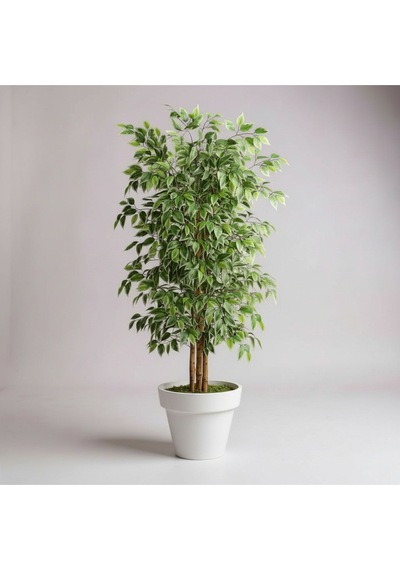 150 Cm Yapay Ficus Beyaz Plastik Saksı Dekoratif Ağaç