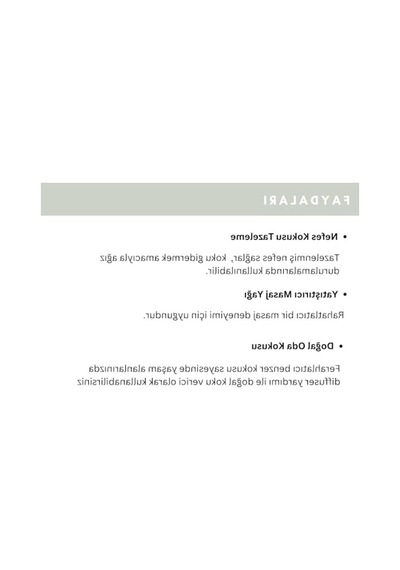 Ferahlatıcı Uçucu Nane Yağı, 100 Ml 0.75 LT - 2.5 LT - 12 KG