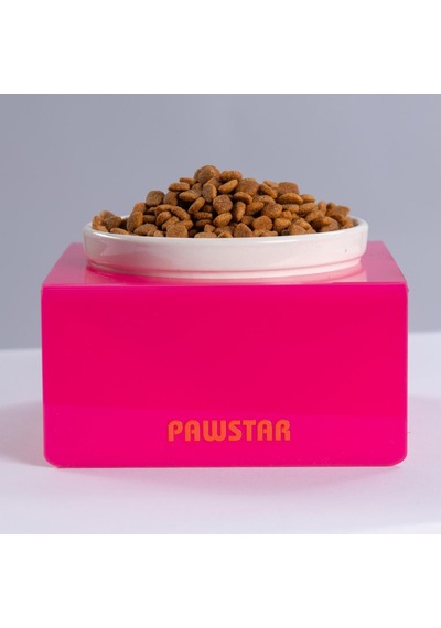 Fuşya Tekli Seramik-pleksi Mama Ve Su Kabı-kedi Köpek Mama Su Kabı