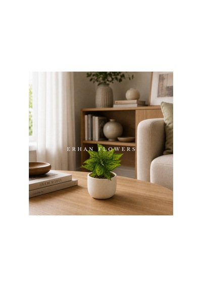 Yapay Sarı Croton Calathea 48 Cm - Dekoratif Vazo İçi Islak Dokulu Yaprak Dalı Saksısız Çok Renkli