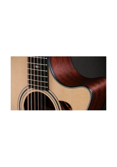 Taylor 354ce 12 Telli Elektro Akustik Gitar 104051399949