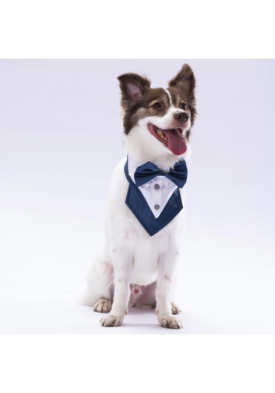 Pawstar Lacivert Smokin Kedi Köpek Fuları Pet Bandanası
