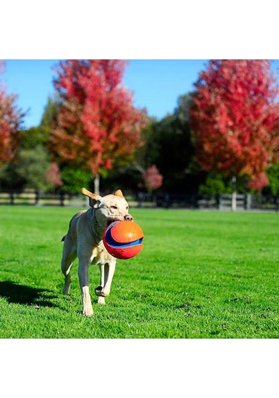 Chuckit Kick Fetch Köpek Oyun Topu Büyük Boy 20 Cm 260-50018.01