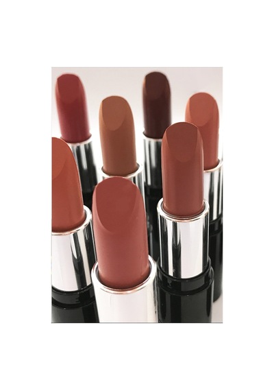 Pastel Nude Ruj 541
