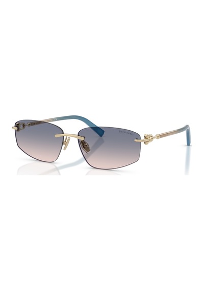 Tf 3114 619116 59 Tiffany & Co. Güneş Gözlüğü Siyah