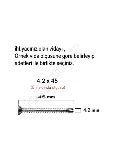 Matkap Uçlu Vida Akıllı Vidası Apex Vida (Paket) 100 Adet-3.9 x 25