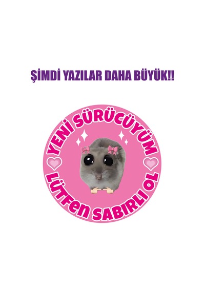 Acemi Sürücü Yeni Sürücü 16x16 Cm Su Geçirmez Yüksek Çözünürlüklü Sticker Araba Motor Sticker