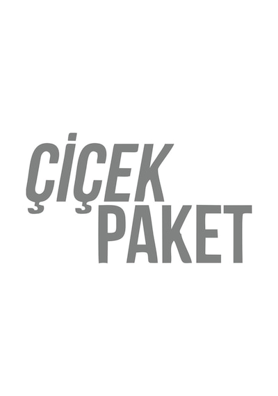 Çiçek Paket Araba Sticker 17x17 Cm Gri