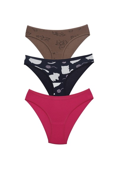 Asist Secret Magic Asm1111 Kadın 3 Lü Renkli Karışık Pamuklu Bikini Külot
