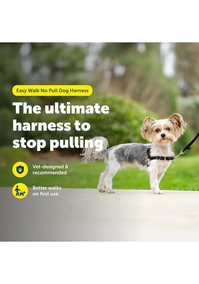 Easy Walk No-pull Köpek Göğüs Tasması, Çekmeyi Önlemeye Yardımcı, Kontrolü Ele Alın Ve Tasmayla Siyah/gümüş