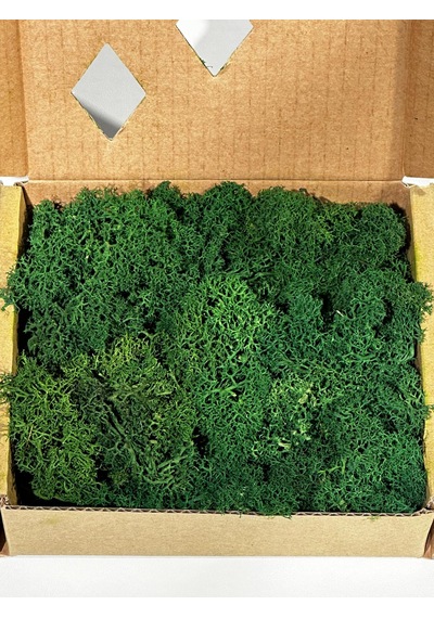Reindermoss Şoklanmış Norveç Yosunu Terarium Yosunu Grass Green Light 100 Gr.
