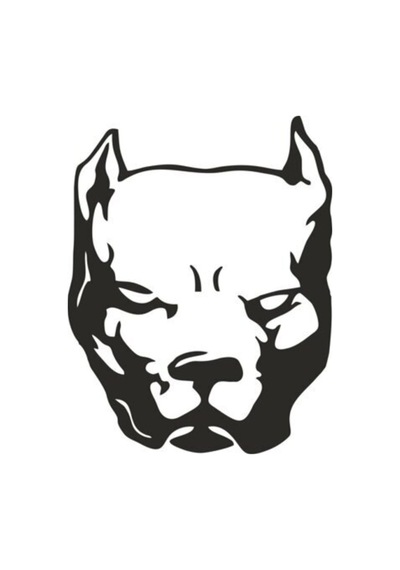 Pitbull Sticker 20 X 24 Cm