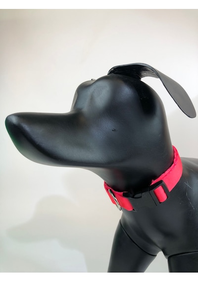 Mita Ayarlanabilir Köpek Boyun Tasması Neon Pembe