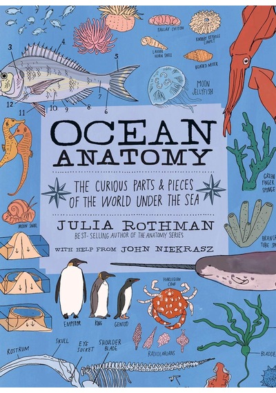 Ocean Anatomy The Curious Parts & Pieces of the World Under the Sea - Anatomy