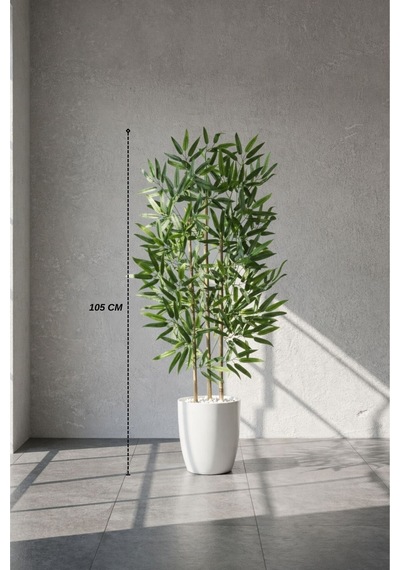 110 Cm Bambu Ağacı Beyaz Yakut Saksıda Bej