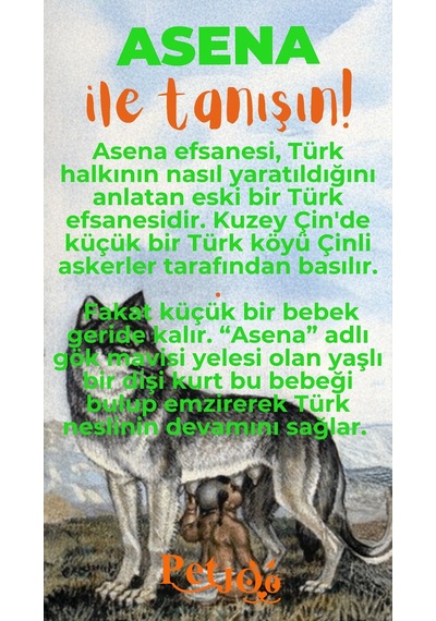 Petjoo 25.Asena Turuncu-Yeşil Qr'lı Köpek Künyesi