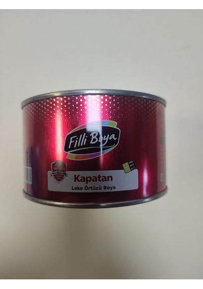 Filli Boya Kapatan Leke Küf İs Örten Sentetik Boya 0,25l 0.250 L