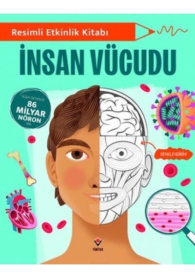 Resimli Etkinlik Kitabı - İnsan Vücudu - Qhdh-814890