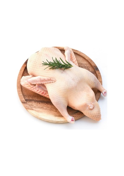 Araz Et Ayvat Ördek Eti 1 Kg Taze Ve Besleyici Kırmızımsı Beyaz Et