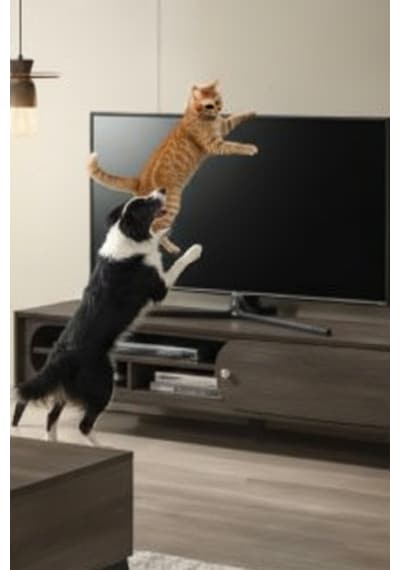 4lü Set Cırt Bantlı Ayaklı Lcd Tv All İn One Pc Bilgisayar Monitör Sabitleme Deprem Koruma Kemeri
