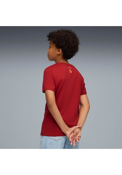 Puma Galatasaray Ftblculture Genç Tişört 782920 01 KIrmızı