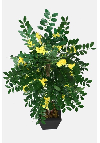 Yapay Çiçek Deposu Yapay Sibirya Bezelye Ağacı Caragana Arborescens 120 Cm