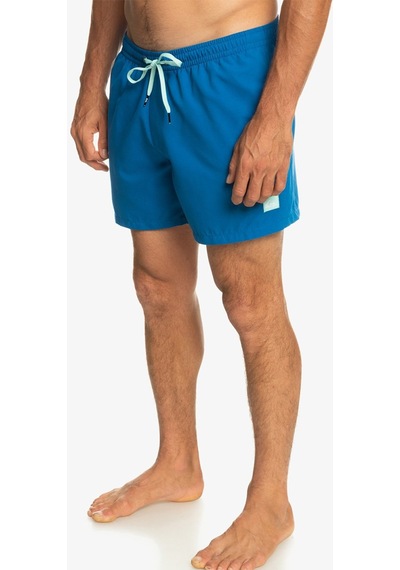 Quiksilver Everyday 15'' Erkek Yüzme Şortu 001