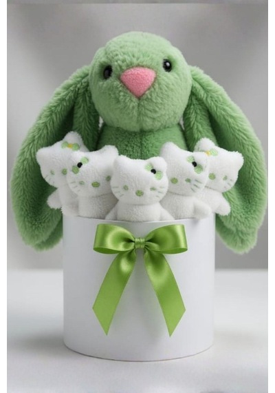 Yeşil Tavşan Hello Kitty Peluş Hediye Kutusu Sevgiliye Ve Çocuğa Sevimli Ayıcık Buketi