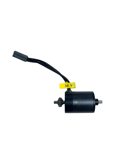 Motor Thor 36v Lısam-w1780