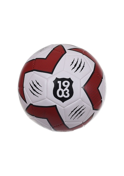 Avessa Lisanslı Bjk-3015 Beşiktaş Futbol Topu Pençe Çok Renkli