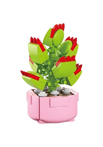 Ctoys Florist Burçlar Saksılı Bitki Yapım Seti Leo 8942 5