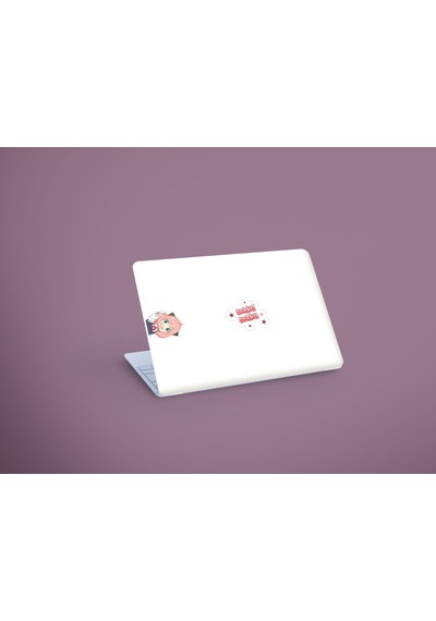 Spyxfamily 4 Farklı Sticker Set Etiket Kağıdı