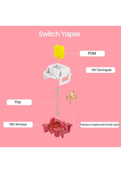 Aula Leobog Nimbus V3 Lineer Mekanik Switch 80 Adet