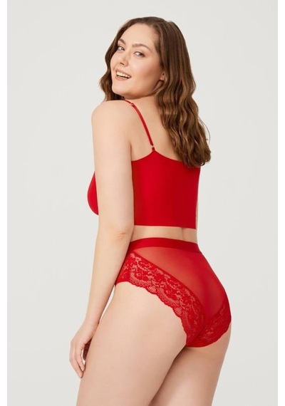 Cottonhill Dantelli Arkası Transparan Büyük Beden Bikini Külot 3'lü Paket-2 Çok Renkli 3