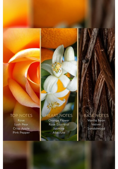 Origen Amalfi Love Bloom Kadın Parfümü + Saç Ve Vücut Spreyi Set Çiçeksi