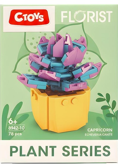 Ctoys Florist Burçlar Saksılı Bitki Yapım Seti Capricorn 8942 10
