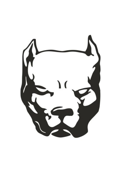 Pitbull Köpek Özel Yeni Sticker 15 11,5 Cm
