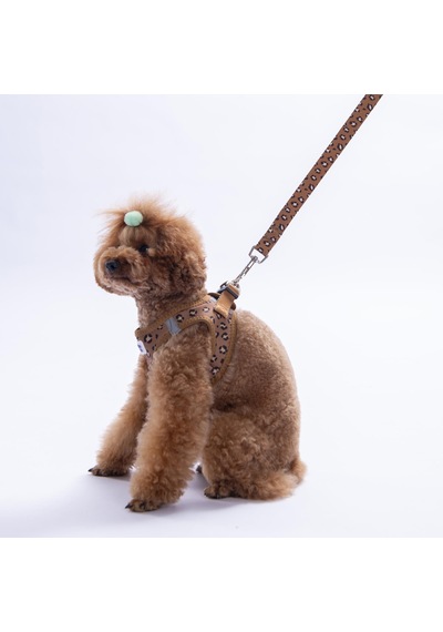 Wild Elegance Göğüs Tasması Ve Sevk Kayışı Tasma Seti Leopar Kedi Köpek Göğüs Tasması Seti Kahverengi