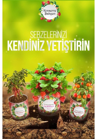 Biishe Konserve Bahçem Nane Yetiştirme Kiti
